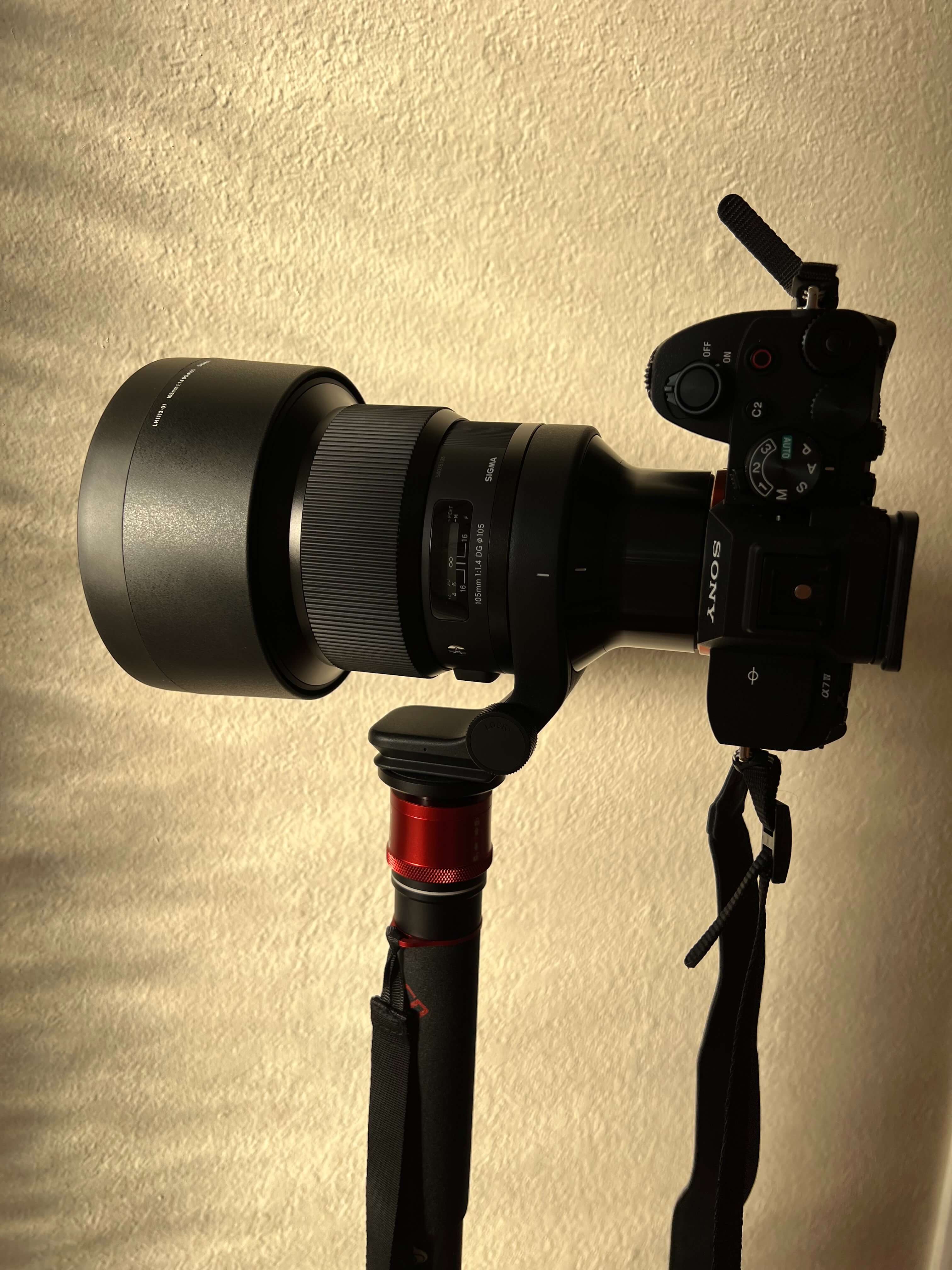 Sigma 105mm F1.4 on a monopod